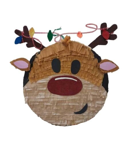 Christmas Reindeer Face Pinata
