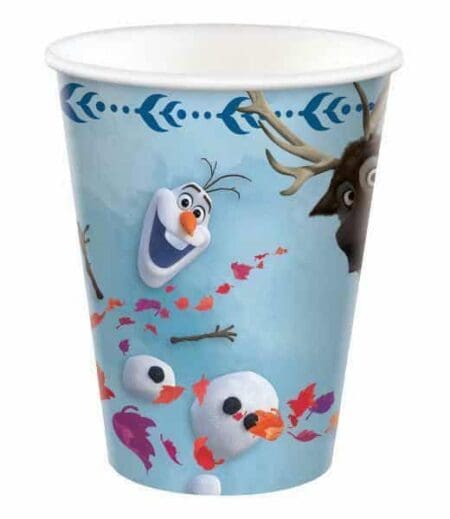 Disney Frozen 2 Deluxe Birthday Party Package for 8 Guests