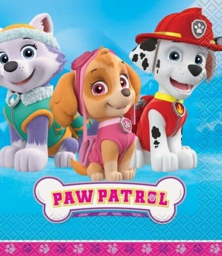 Paw Patrol Girls Deluxe Birthday Party Package for 8 Guests